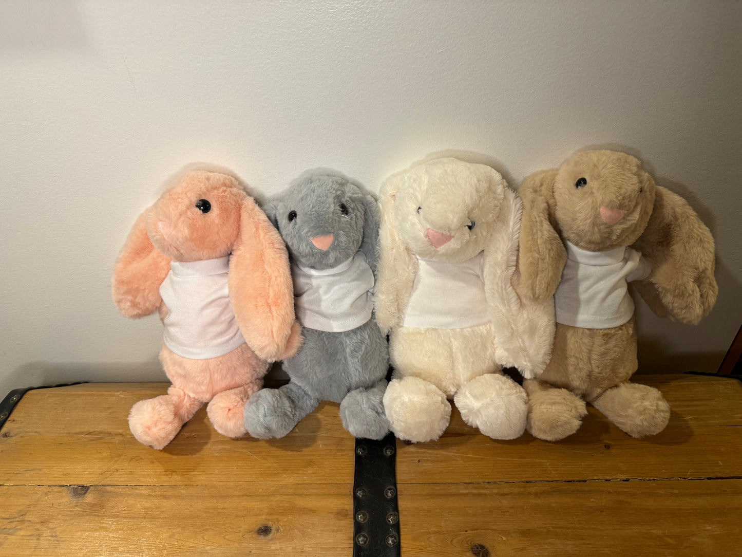 Plush Easter Bunny with Tshirt Blanks